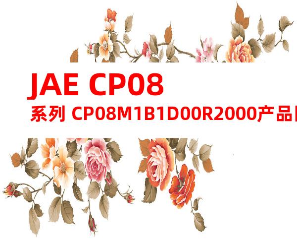 JAE CP08系列 CP08M1B1D00R2000产品图纸